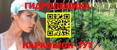 крисы Комсомольск-на-Амуре